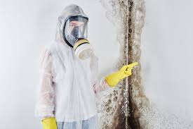 Environmental Consulting for Mold Prevention in Linntown, PA